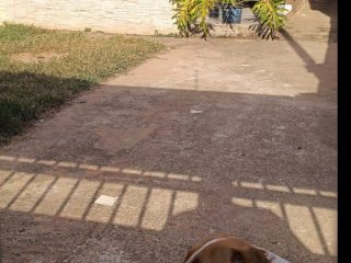 Imagem do imóvel CA56289